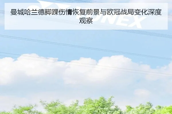 曼城哈兰德脚踝伤情恢复前景与欧冠战局变化深度观察